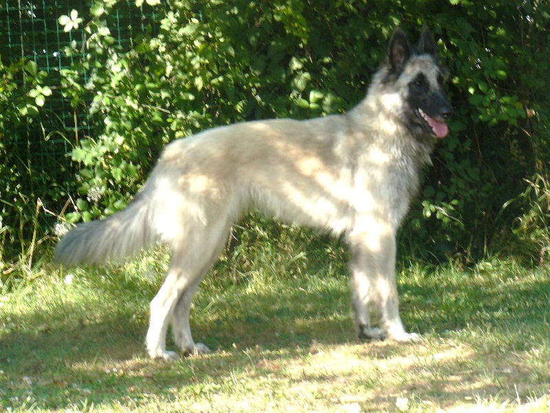 Dundee Du Grand L'ilot