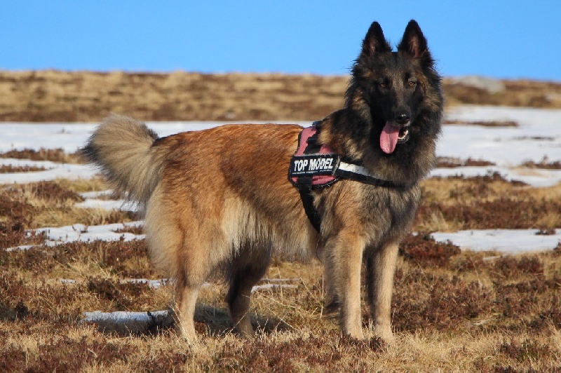 Helfie Du Grand L'ilot