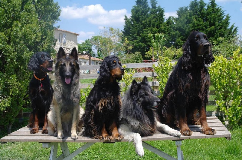 La troupe du Grand L'ilot 